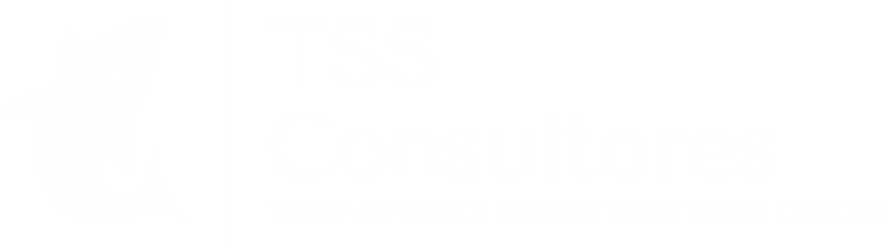 TSS Consultores